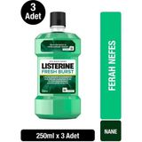 Listerine Fresh Burst Ağız Bakım Suyu 750 ml Plak ve Tartar Karşıtı Antibakteriyel Etki
