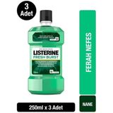 Listerine Fresh Burst Ferah Nane 250 Ml 3 Adet Gargara