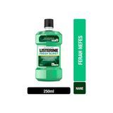 Listerine Fresh Burst Ferah Nane Ağız Bakım Suyu 250 Ml ( 1 Adet)