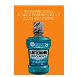 Listerine TAKALOĞLU COOL MINT GÜNLÜK AĞIZ BAKIM ÜRÜNÜ