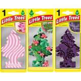 Little Trees Oto Asma Kokusu Sakız Bubble Gum & Jungle Fever Orman Ateşi & Midnight Chick Gece Şıklığı