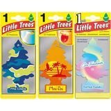 Little Trees Pina Colada - Mai Tai - Cotton Candy Oto Koku