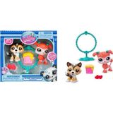Littlest Pet Shop Minişler 2’li Figür Seti S2 S00000620 Shetland Çoban Köpeği Ve Poodle Köpek
