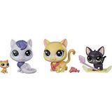 Littlest Pet Shop Minişler Snowboarding Kitty Crew Miniş Ailesi