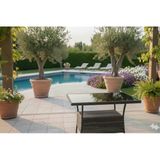 LİV Concept Garden Rattan Antrasit Cam Tablalı Bahçe Ve Balkon Sehpası / Masası