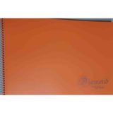 Liva Color 25X35 25 Yaprak Turuncu Renk Spiralli Resim Defteri
