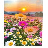 Liva Craft Elmas Mozaik Tablo, 50x40cm Çiçek Tarlası Boncuk Yapıştırma Kiti