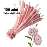 Liva Heryer.ciceklenir 100'LÜ Açık Pembe Renkli Şönil, Eğitici Şönil Seti, Tüylü Tel, 30 cm 6mm