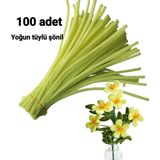 Liva Heryer.ciceklenir 100'LÜ Açık Sarı Renkli Şönil, Eğitici Şönil Seti, Tüylü Tel, 30 cm 6 mm