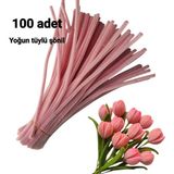 Liva Heryer.ciceklenir 100'LÜ Pastel Pembe Renkli Şönil, Eğitici Şönil Seti, Tüylü Tel, 30 cm 6mm