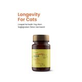 Livepet Kediler İçin Longevity Takviyesi, Omega-3, Resveratrol, CoQ10, Kurkumin, Ginkgo Biloba