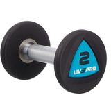 Livepro LP8002 2 kg Poliüretan Dambıl