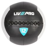 Livepro Lp8100 12 Kg Duvar Topu-Wallball