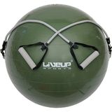 Liveup LS3227 65 cm Lastikli Pilates Topu