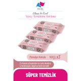 Livory 3 Adet Manolya Kokulu Yüzey Temizleme Havlusu Doğal Pratik Hijyenik Ferah Kokulu Çok Amaçlı Mutfak Banyo Cam Ahşap Seramik Tezgah Ocak (100 Yaprak)