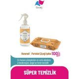 Livory Hanımeli Oda Kokusu 500 ml |clean & Cool Premium Islak Yüzey Temizlik Havlusu Portakal Çiçeği Kokulu 1x 100 ( 100 Yaprak) - Açık Turuncu