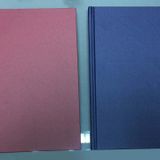 Liz-Tarihsiz Ajanda 14X20 Ciltbezi Çizgili/Kareli Ekonomik Defter