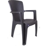 Liza Rattan Koltuk Plastik Sandalye Bahçe Sandalyesi - 3