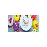 LİZYA BABY Büyük Boy 10'lu Set Krema Sıkma Torbası