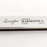 LMHM0116 Mızıka 16 Delik Profesyonel Harmonica Kutulu