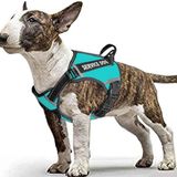 LMOBXEVL Servis köpek tasması, çekmez, saplı köpek tasması, ayarlanabilir, yansıtıcı, küçük ve orta boy köpek ırkları için, yürüyüş, kolay kontrol