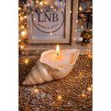 LNB Home and Style Inci Tozu Mum ve Deniz Kabuğu Set - 1 Adet