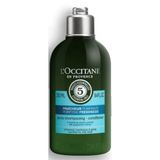 L'OCCITANE Aromakoloji Arındırıcı Canlandırıcı 250 ml Saç Kremi