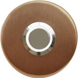 Lockway Z-101ABB Bronz Paslanmaz Tek Kontak Zil Butonu Beyaz LED