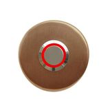 Lockway Z-101ABK Bronz Paslanmaz Tek Kontak Zil Butonu Kırmızı LED