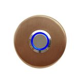 Lockway Z-101ABM Bronz Paslanmaz Tek Kontak Zil Butonu Mavi LED