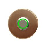 Lockway Z-101ABY Bronz Paslanmaz Tek Kontak Zil Butonu Yeşil LED