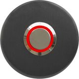 Lockway Z-101AK Antresit Paslanmaz Tek Kontak Zil Butonu Kırmızı LED