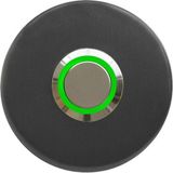 Lockway Z-101AY Antresit Paslanmaz Tek Kontak Zil Butonu Yeşil LED