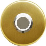 Lockway Z-101GB Paslanmaz Zil Butonu - Altın Renk Beyaz LED