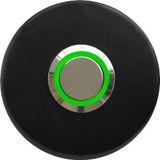 Lockway Z-101SY Siyah Paslanmaz Tek Kontak Zil Butonu Yeşil LED