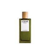 Loewe Essencia Edp 100 ml Erkek Parfüm