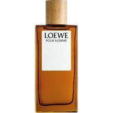 Loewe Solo EDT Pour Homme 100 ml Erkek Parfüm