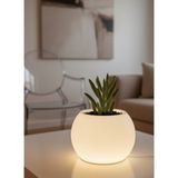 LOFONY Moon LED Işıklı Küre Saksı – Gece Lambası Özellikli Dekoratif Saksı - Large