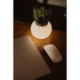 LOFONY Moon LED Işıklı Küre Saksı – Gece Lambası Özellikli Dekoratif Saksı - Medium