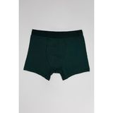 Loft Erkek Boxer LF2033634 - XL - Yeşil