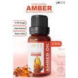 LOFTY Amber Uçucu Yağ Buhurdanlık Esansı Oda Kokusu Uçucu Esansiyel Yağ Buhur Yağı 10ML