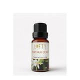 Lofty Portakal Çiçeği Saf Uçucu Yağ (10ml) -%100 Doğal Esansiyel Yağ | Buhurdanlık, Difüzör ve Oda Kokusu İçin Ferahlatıcı Etki