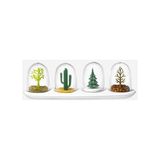 Loggia Seasoning Shakers Dört Mevsim Baharatlık