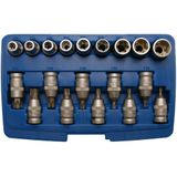 Lokma Set Torx (Tork) 1/2 19 Parça (T20-T70 / E10-24)