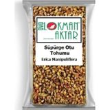 Lokman Aktar 250 gr Süpürge Otu Tohumu