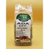Lokman Aktar Adaçayı Gri 30 Gr