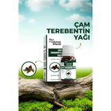 Lokman Efendi Çam Terebentin Yağı 20 ml - 20ML