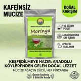 Lokman Hekim Moringa 1 x 40 Adet Bitkisel Karışımlı Çay - Kafeinsiz Mucize Ağaç Form Çayı / Anadolu Köyleri Tanzim Kulübü - 1 Paket ( 40 Adet )