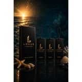 LOKUSPARFUMES LOKUS Signature Ocean 3 Adet Araç Kokusu | Premium Oto Kokusu, Uzun Süre Kalıcı Asma Araç Parfümü