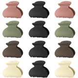 Lolalet 12 adet küçük saç tokası, saç tokası, 4 cm, mini saç pençesi, örümcek, saç klipsi, kadınlar ve kız çocuklar için, kalın, ince, ince saç modeli, kıskaçlar, güçlü, şık akrilik muz klipsi, mat